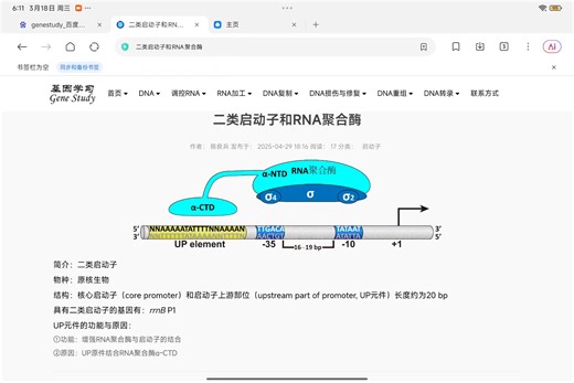 5分钟搞懂原核生物启动子:从一类到四类，σ因子也给你讲明白