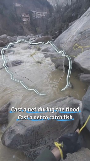 Catch Fish Using a Cast Net Techniques