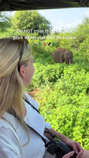 Early bird catches the worm 🐛 or the elephants in this case 🐘 The alarm rang at 3:45am for a 4am departure. We embarked on a 2-hour drive to Udawalawe National Park which is one of the 2 most famous national parks for safaris in Sri Lanka 🇱🇰 We saw elephants, crocodiles, what felt like a million peacocks, monkeys, eagles, lizard, water buffalos, and so much more 🐘🐊🦚🐒🦅🦎🐃 It was an amazing experience and definitely something you should put on your bucket list if you visit Sri Lanka 🥰 M