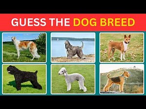 🐶 Guess the Dog Breed from Picture | Ultimate Dog Quiz Challenge