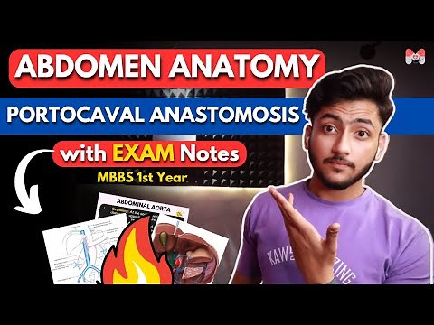 Abdomen Anatomy- Portocaval Anastomosis | MBBS 1st Year -Full Explanation with Exam Notes-MBBS World