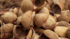 Dried coconut meat or kernel falling in slow motion, harvest and process for copra production