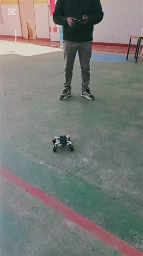 Alpha International School on TikTok