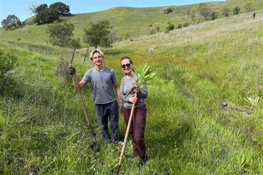 Invasive Species Management