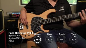 【Bass Guitars】— Modulus bass