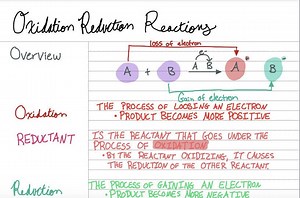 CHEMISTRY: Oxidation Reduction Reactions for General Chemistry 2! - Etsy