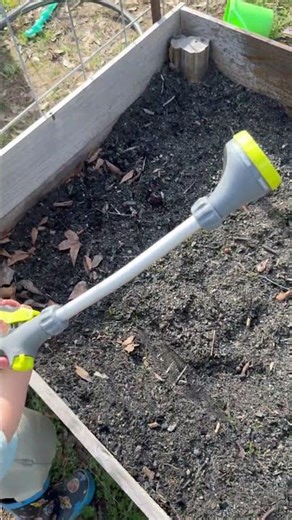 Day 13 early spring garden update