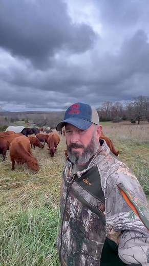 138K views · 4.6K reactions | Why Beef Prices Keep Climbing - and Who's Really Behind It #Cattle #Beef #Money #Price #Butcher #Market #Country #Heard #FYP #Reels | Tick Creek Ranch | Facebook