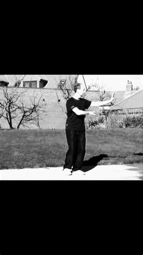 The 13-step form of the Sun Style Taijiquan was created by Master Faye Li Yip, an expert and standard-bearer of the Sun Style, from a simplified version of the traditional 97-step long form created by her family's lineage founder, Grand Master Sun Lu Tang. This short form is designed for beginners and individuals with joint problems, offering an introduction to the Sun Style's health benefits and internal principles. | Tai Chi Heaven and Earth