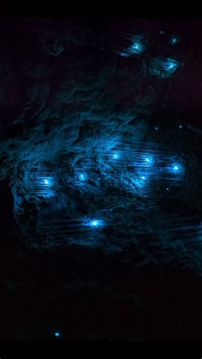 A night with Bioluminescent Glow Worms as they lay their webs and light up the limestone labyrinth underneath New Zealand 🐛✨ #glowworms #newzealand #bioluminescence #waitomo | Clanger_mcbanger