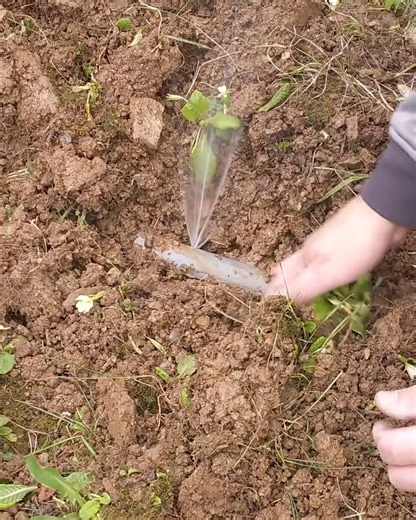 Water hose hack | Genius Club - Asia