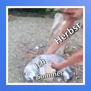 Wir😫sind😫noch😫nicht😫bereit | LOVOO