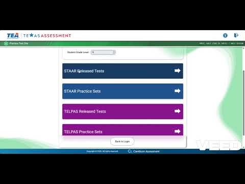 STAAR Algebra: Practice and Released Tests