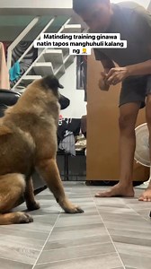 Grabe naman primo jr #doglover | Pogs Vlog