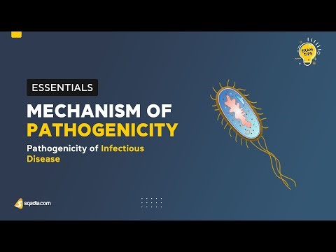 Pathogenicity of Infectious Disease | Mechanism of Pathogenicity | Microbiology Lecture
