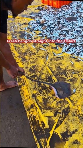 Boy Came With a HUGE Waghole Fish 😳🐟 | Real Goa Fishing #shorts #shortvideo #youtubeshorts