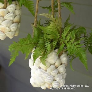 Save your vacation seashells. | HGTV