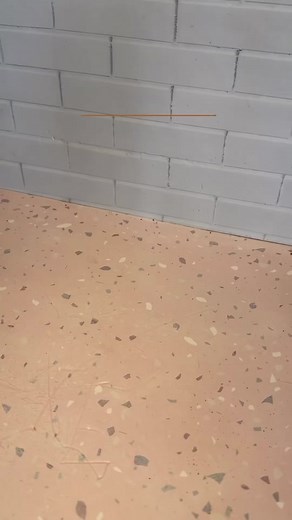 💣🤍💫CHOCO OREO CLÁSICA💫🤍💣 Receta para molde de 24cm: Triturar 2 paquetes de oreo de 117g (enteras) y mezclarlas con 100g de manteca hasta formar una ‘masa’ y ponerla en la base del molde (si es desmontable mejor). Para el relleno mezclar 1 kilo de dulce de leche repostero y 1 kilo de queso crema firme (yo uso milkaut) y poner sobre la base de galletitas. Comenzamos a armar la torta, relleno, capa de oreos humedecidas en leche o cafe y asi hasta llegar al tope. Mandar a heladera por aprox 5 