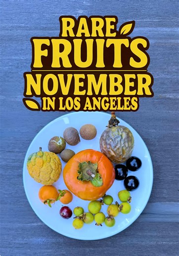 Rare Fruits Growing in My Los Angeles Food Forest
