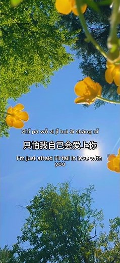 情非得已 | Qing Fei De Yi (Harlem Yu) 🎶 Chinese Lyrics + Pinyin + English Translation