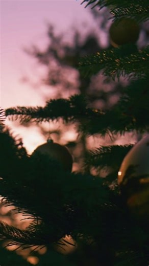 The hat. The belt. The glasses. ✔️ Santa’s getting ready… are you? 🎅 🎄 Christmas at the Zoo starts next Saturday 🎄 Book now for Santa’s Penguin Grotto, gifts and festive fun! 👉 https://eu1.hubs.ly/H0q2Q1h0 GO Awesome Children's Entertainments | Banham Zoo