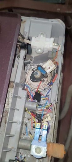 DC Error ka Real Reason! Samsung Washing Machine me Rat Ne Wire Kaat Diya 🐭⚡