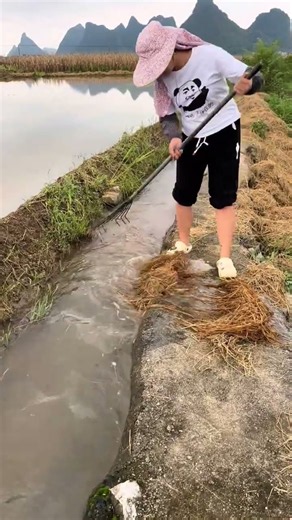 Satisfying Irrigation Canal Cleaning with Pitchfork! 🌾🧹 #shorts