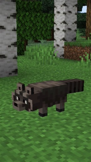 Don't ever touch him with ur hands😰 #minecraft #minecraftshorts #shorts