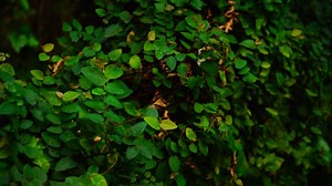 See how GE Steam Power is helping Japan transform its energy sector — and meet ambitious renewable goals. https://invent.ge/327oInR | GE