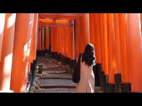 this is Kyoto, apparently | Japan vlog 🇯🇵
