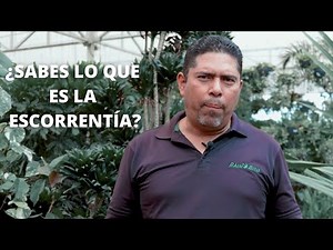 ¿Sabes lo que es la escorrentía?