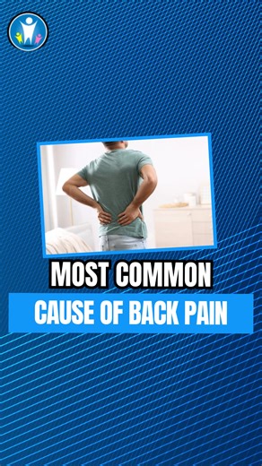 The #1 cause of back pain isn’t age — it’s subluxation. When stress, posture, or prolonged sitting cause your vertebrae to shift out of alignment, it puts pressure on nerves, tightens muscles, and weakens discs. Chiropractic care helps restore proper movement so your body can function — and heal — the way it’s meant to. Get checked. Get aligned. Get moving again. #ChiropracticCare #BackPainRelief #SpinalHealth #PostureCorrection #NaturalHealing | Nerve & Disc Centers of the Midwest