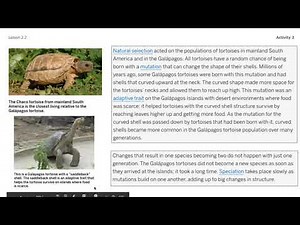 Science, 8th Grade, 5/26, Evolutionary History