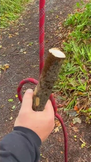 How to Make a Reusable Rope Swing