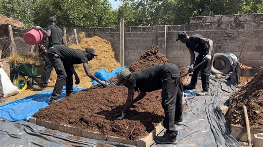 Welcome to compost village, where we engage in disruption, breaking barriers and giving hope. #compost #sustainability #followme