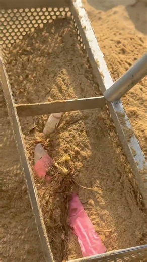 Wait… A Diamond Watch Was Hidden Under the Sand?! 💎⌚