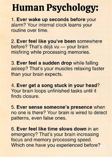 Mindspark 💥✨ on Instagram: "Ever wake up seconds before your alarm and just lie there like Your brain already clocked in before you did. Ever get that creepy feeling like you’ve lived this moment before? Not fate. Not magic. Just your memory glitching like bad Wi-Fi. Ever feel like you’re falling right before sleep and your body jumps? That’s your brain checking if you’re still alive. Dramatic? Yes. Necessary? Also yes. Ever have a song stuck in your head for HOURS? Your brain hates loose ends.