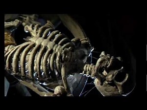 henkermuseum, torture museum, folter, guillotine