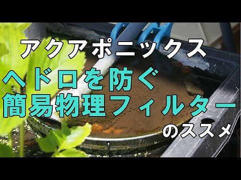 ヘドロを防ぐ！簡易物理フィルターのススメ【アクアポニックス】/Prevent sludge! Simple physical filter recommendation [Aquaponics]