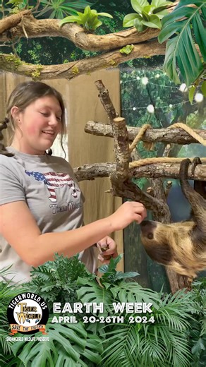 1.2K reactions · 106 shares | Celebrate Earth Day  with Tiger World | Tiger World | Facebook