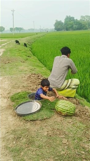 😂 Watermelon Gone Wrong! Epic Street Prank Fail 🍉