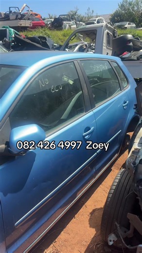 Polo Bujwa Stripping for Spares: A Quick Guide