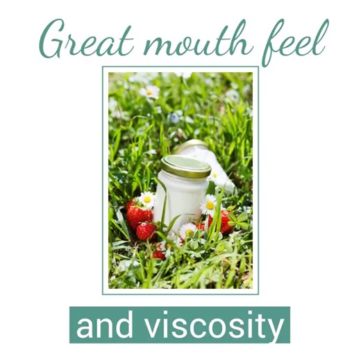 Vegan yoghurt manufacturing needs the perfect yoghurt culture plus expertise on how to manufacture these products with the correct amount of ingredients. We have many years experience in this field. Contact Chanell on customercare@dynamiko.co.za #vegan #veganyoghurt #veganproducts #veganmanufacturing #oatmilk #soyamilk #almondmilk #coconutmilk | Dynamiko Food Ingredients