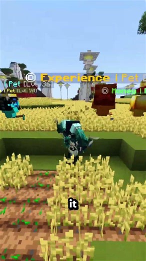 This server only has ONE BLOCK (Java + Bedrock)