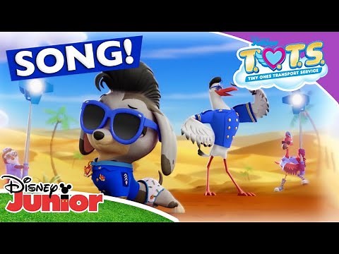 📷 Picture Perfect | TOTS | Disney Junior Africa