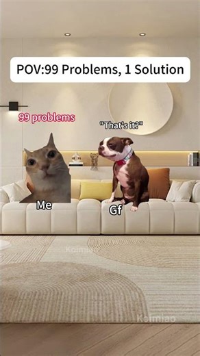 CAT MEMES🐱99 Problems, 1 Solution#catmemes #memes #funnymemes #funny #foryou #relationship