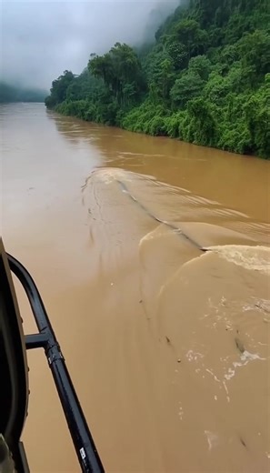 This footage was recorded in the Amazon and scientists still have no answer… A gigantic body moving under the water, longer than the boat itself. Some researchers are now whispering the impossible: Titanoboa. Extinct for millions of years… until now? 🐍🌊😱 #Titanoboa #AmazonRiver #Unexplained #MonsterInTheWater #ViralVideo