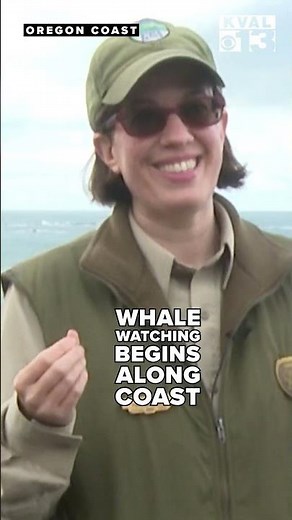 Whale watching season begins along the Oregon coast
