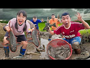 Ha Sam Goes to the Fields to Catch Fish and Make Irresistibly Delicious Sung Fish Salad