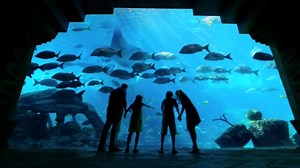 Atlantis TV Spot, 'Two Week Deal'